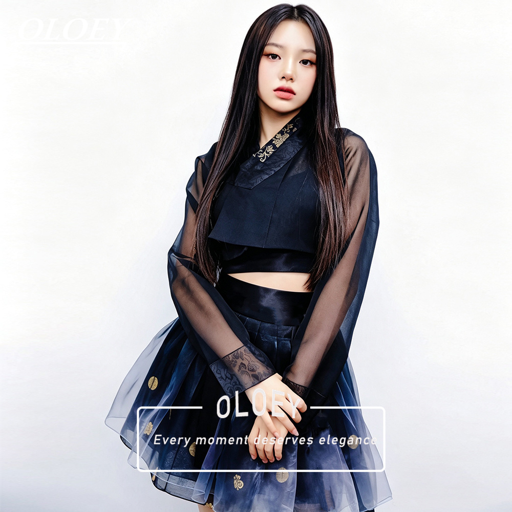 OLOEY Hanbok court vintage bic - Modern Korean Lifestyle avis et prix